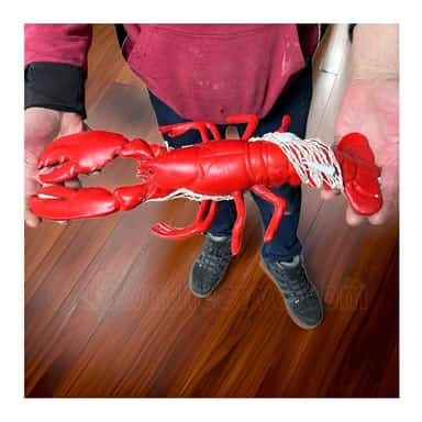 Large Resin Lobster Ornament image 3