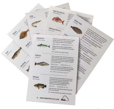 6 Piece Carbon Travel Sea Fishing Kit image 5