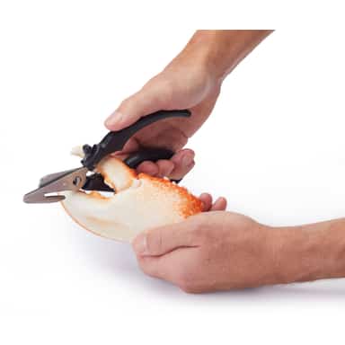 Master Class Seafood Shears image 4