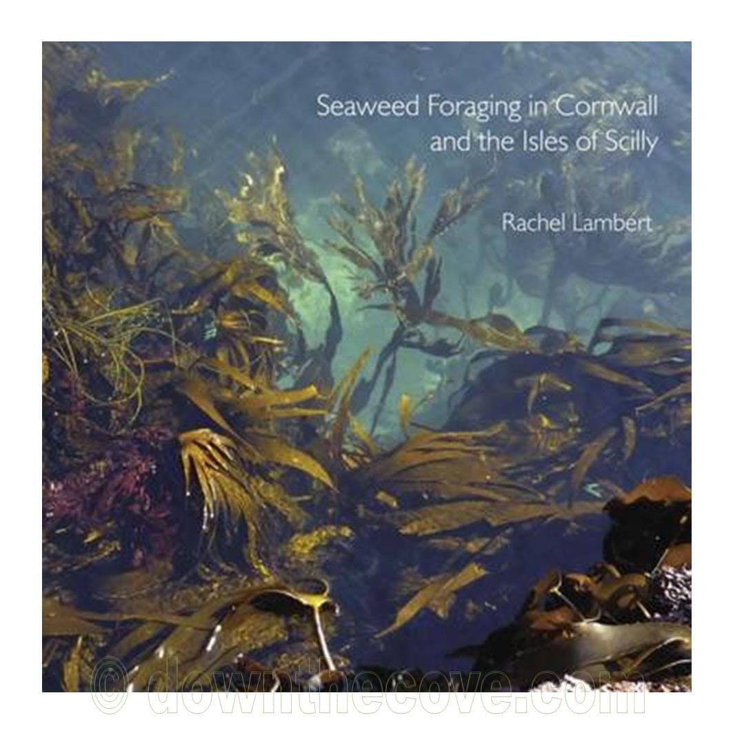 Seaweed Foraging in Cornwall & the Isles of Scilly product image 1