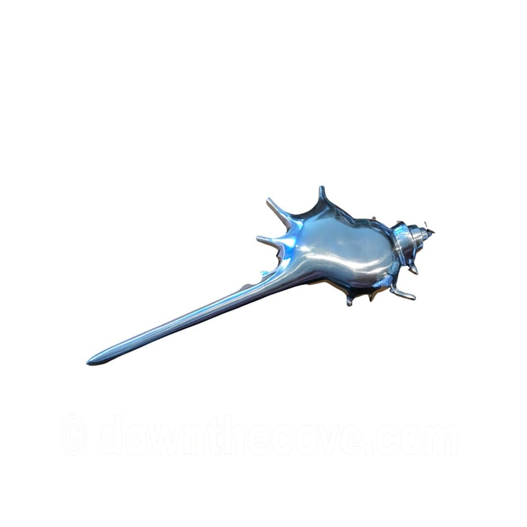 Large Metal Spinusus Shell Ornament product image 1