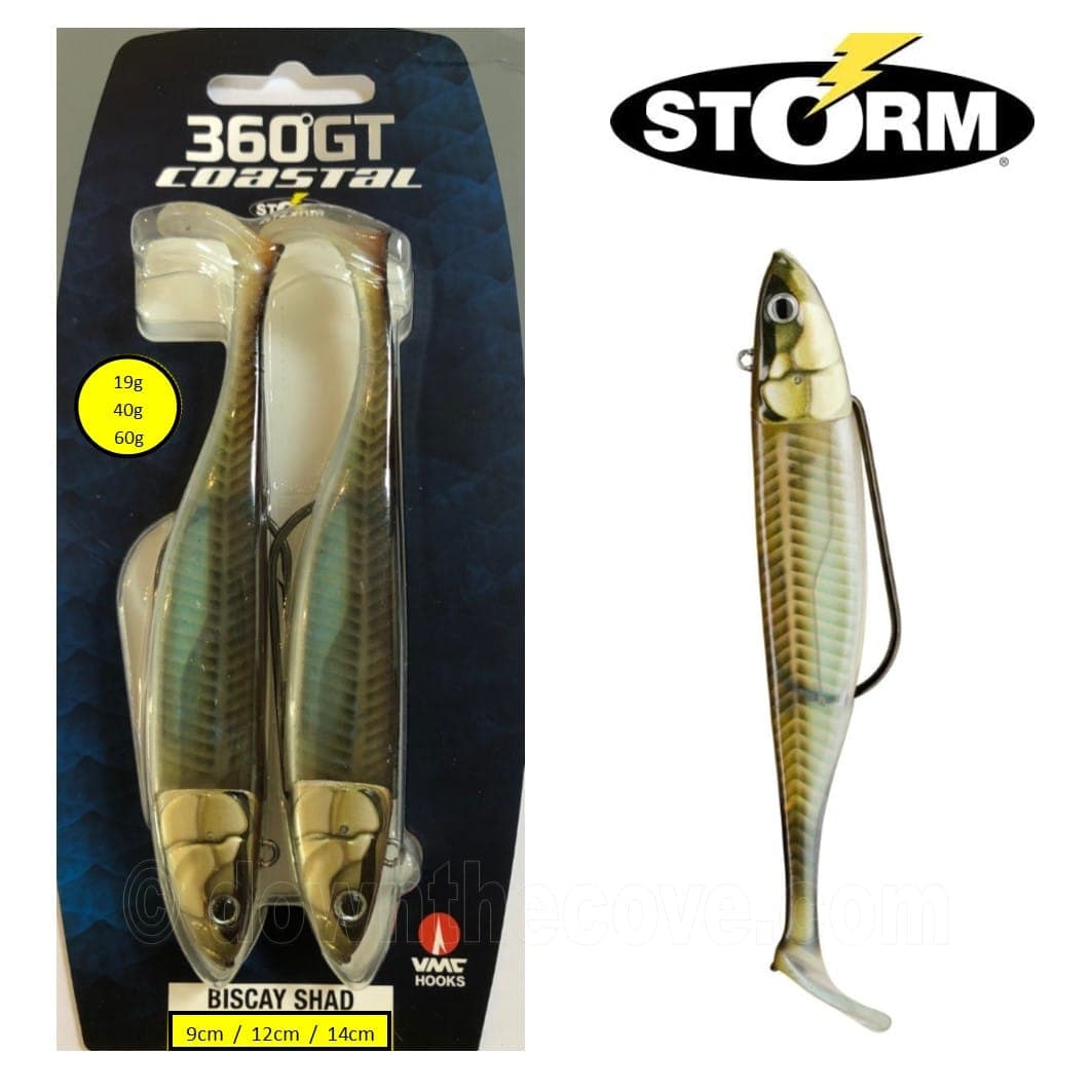 Storm 360GT Coastal Biscay Shad - Sandeel product image 1