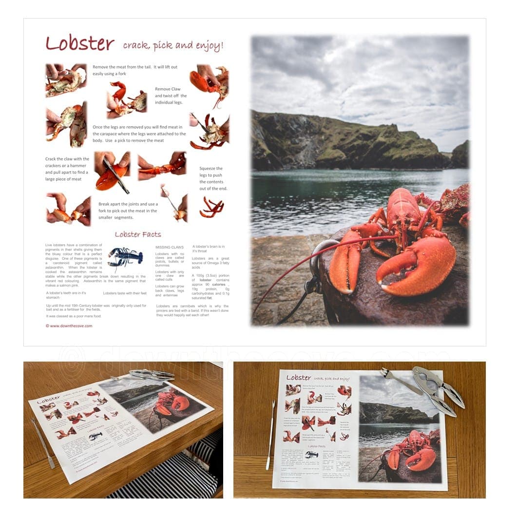 How to Eat a Lobster Placemats product image 1