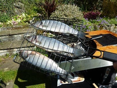 Bass inline image 1