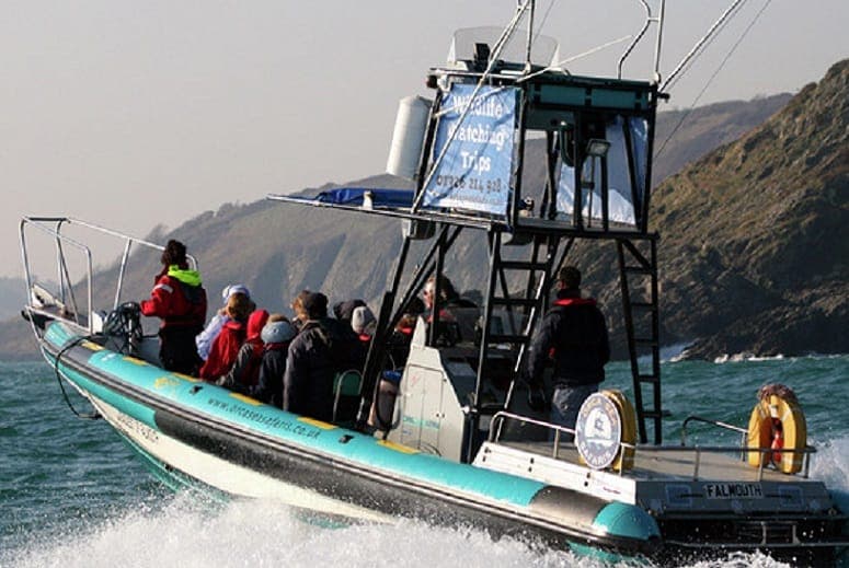 Orca Sea Safaris inline image 2