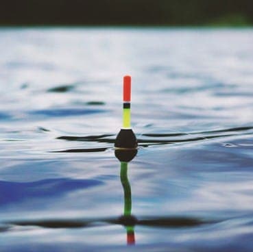 Bass Fishing inline image 2