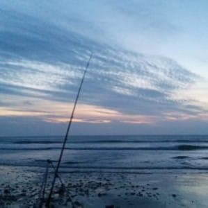 Bass Fishing inline image 3