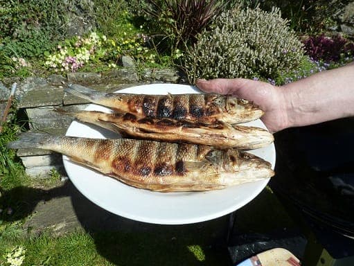 BBQ inline image 9