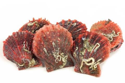 Seafood Facts inline image 4