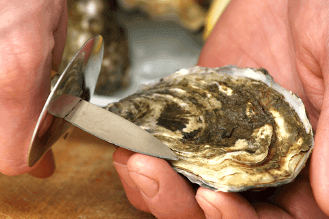 Seafood Facts inline image 8