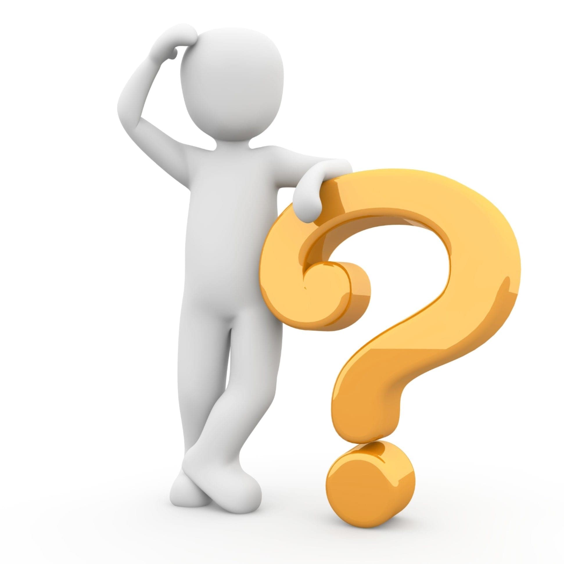 Which Fishing Rod