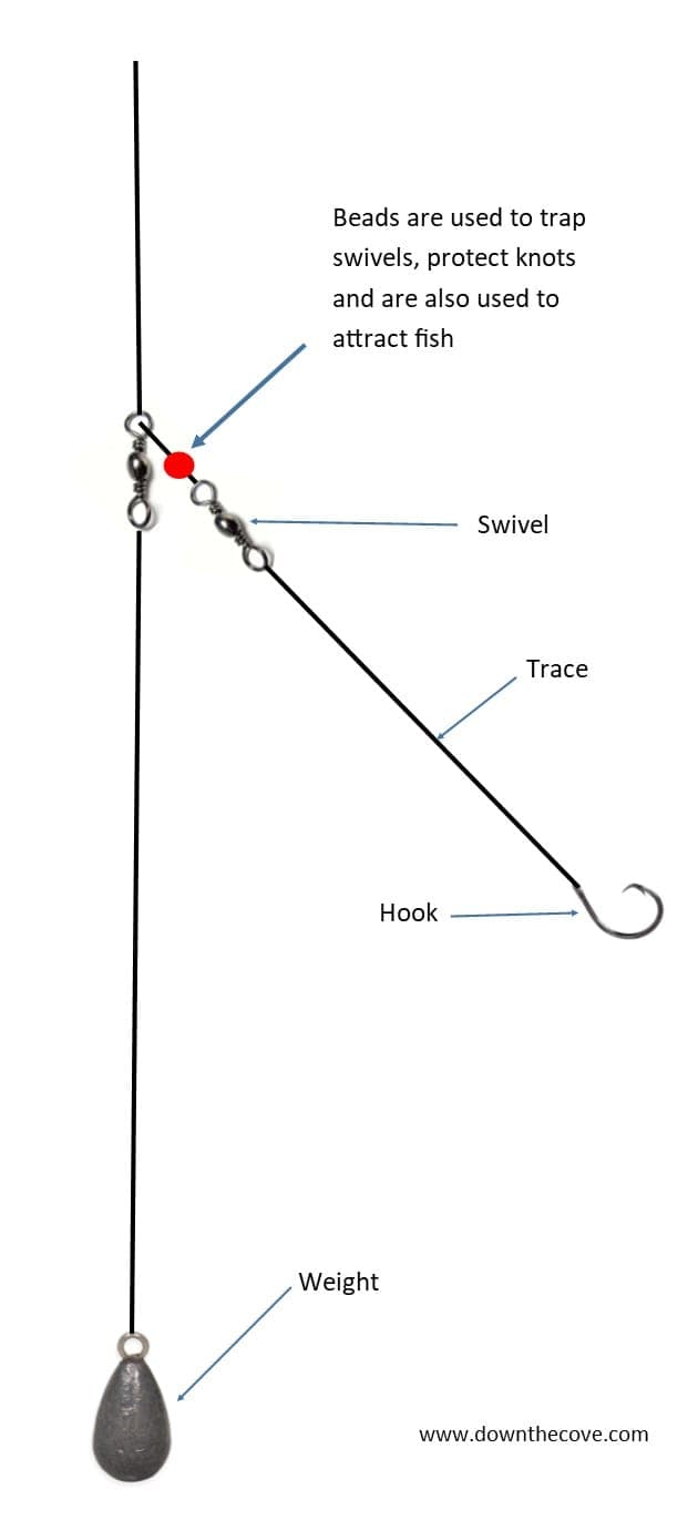 Bottom Fishing inline image 2