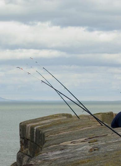 Fishing from a Harbour Wall