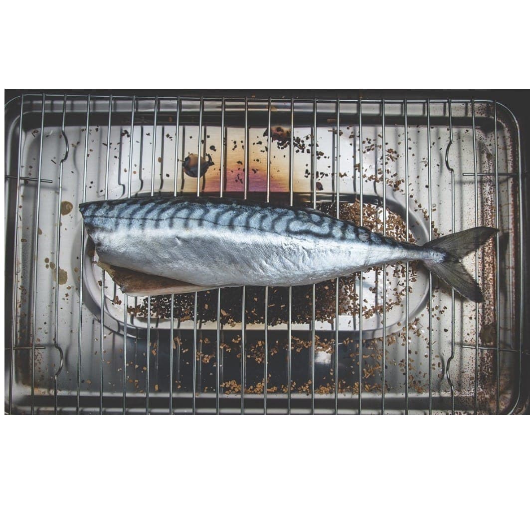 mackerel