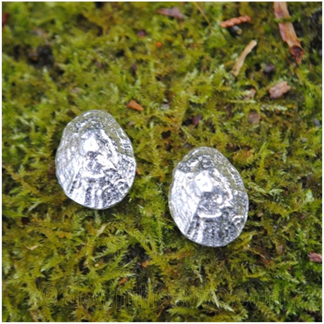 Limpet Shell Stud Earrings product image 1