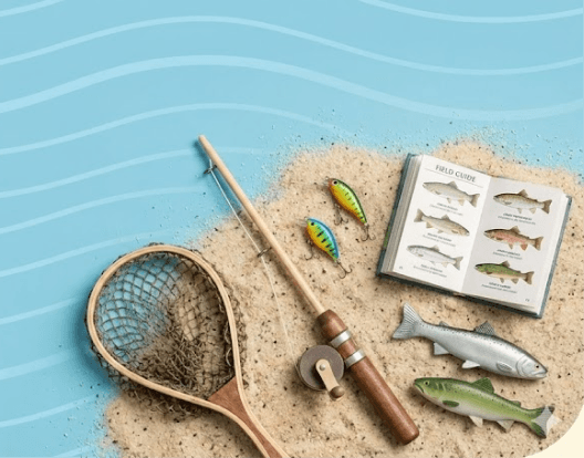 Seasonal Catch Guides