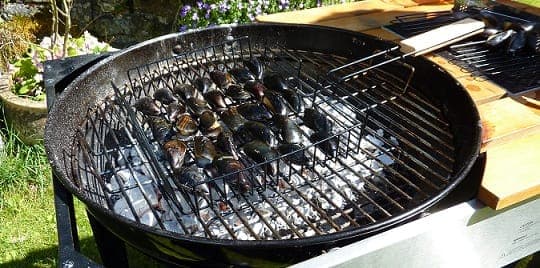 BBQ