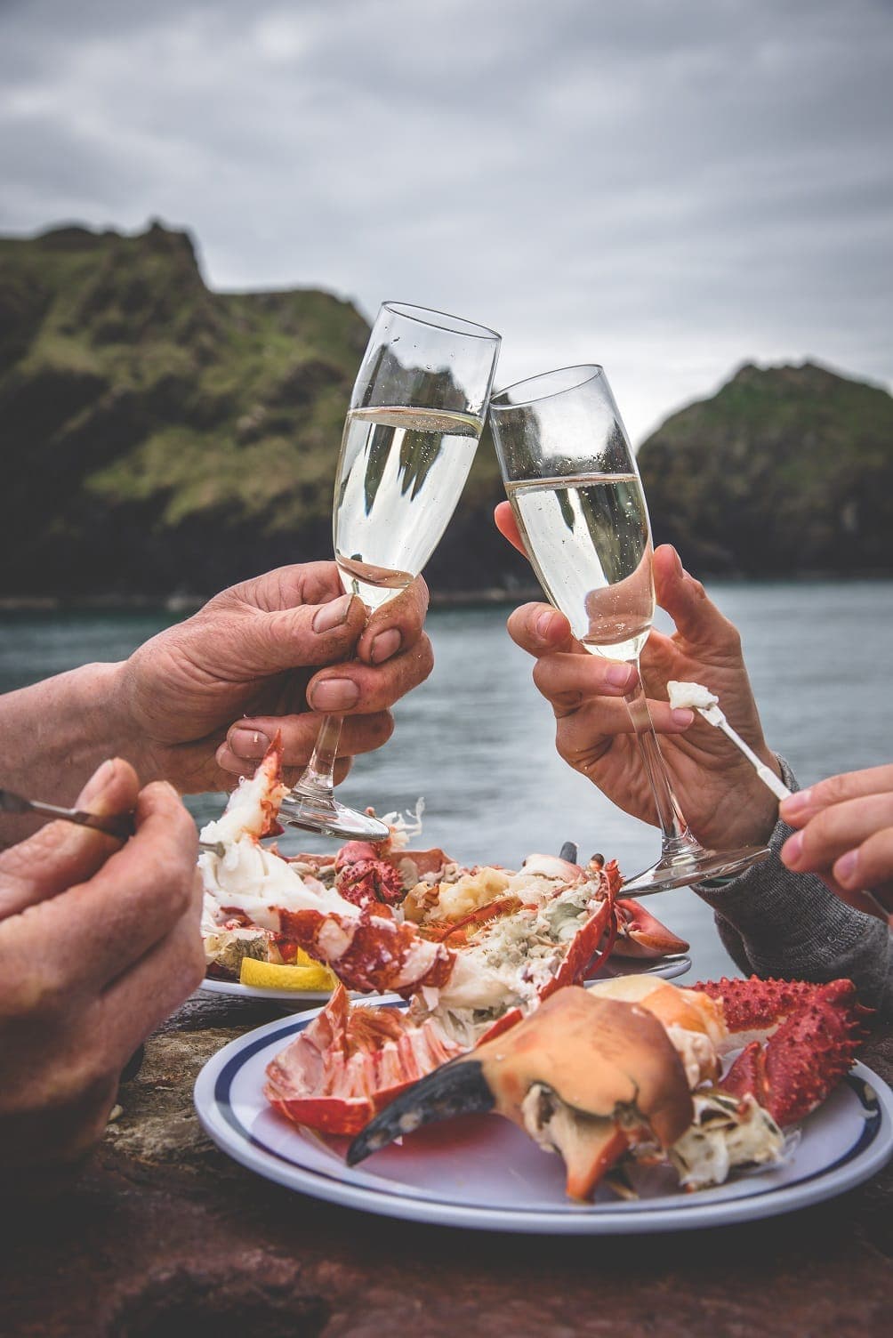 Wine Pairing Guide